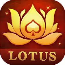all yono rummy new app download